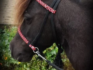 Sidepull hoofdstel Shetlander & Mini