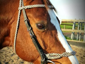 Biothane met touw endurance hoofdstel
